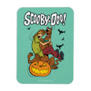 Pesquisar por scooby doo cartoes Onde você está
