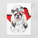 Pesquisar por yorkies cartoes postais Animal