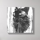 Pesquisar por gato impressão de canvas Animal