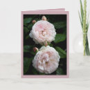 Pesquisar por redoute cartoes Rose