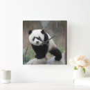 Pesquisar por ursos panda relogios de parede China