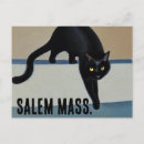 Pesquisar por gato cartoes postais Engraçado