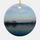 Pesquisar por rio sul ornamentos Paisagem