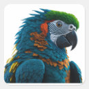 Pesquisar por macaw adesivos Papagaio