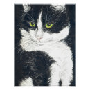 Pesquisar por tuxedo cat pôsteres Animal