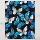 Pesquisar por escuro flyers Azul