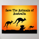 Pesquisar por australia pósteres pôsteres Coala