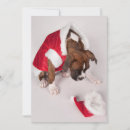 Pesquisar por canino natal cartoes Celebração