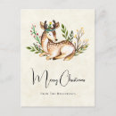 Pesquisar por pombo selvagem cartoes postais Animal