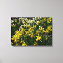 Pesquisar por flor narciso impressão de canvas Amarelo