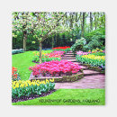 Pesquisar por holland imas Europa