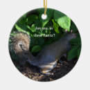 Pesquisar por esquilo ornamentos Animais