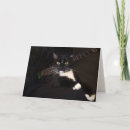 Pesquisar por músico cartoes Gatos