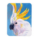 Pesquisar por arte selvagem imas Aves
