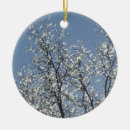 Pesquisar por galho ornamentos Céu