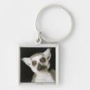Pesquisar por lemur chaveiros Macaco