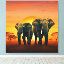 Pesquisar por elefante africano impressão de canvas África