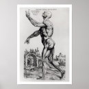 Pesquisar por musculatura pósteres pôsteres Anatomia
