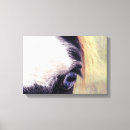 Pesquisar por olhos azuis impressão de canvas Fotografia