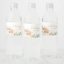 Pesquisar por abóbora doce adesivos Queda