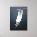 Pesquisar por construtor impressão de canvas Teste