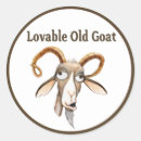 Pesquisar por capuz adesivos Engraçado