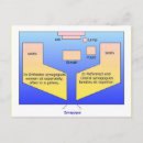 Pesquisar por diagrama cartoes postais Educação