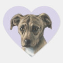 Pesquisar por filhotes de cachorro adesivos Animais do bebê