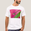 Pesquisar por gotas de água camisetas Vermelho
