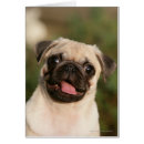 Pesquisar por pug da jovem corça cartoes cartoes postais 12 semanas