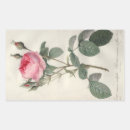 Pesquisar por ilustração botânica adesivos Rosas