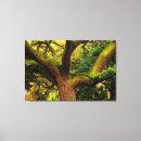 Pesquisar por musgo impressão de canvas Carvalho