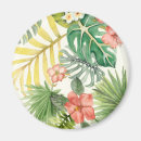 Pesquisar por suave imas Aquarela