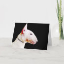 Pesquisar por bully cartoes Terrier