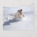 Pesquisar por azul profundo cartoes postais Neve