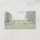 Pesquisar por gado cartao de visita Vaca