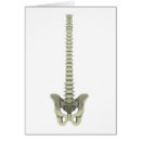 Pesquisar por coluna vertebral cartoes postais Vértebra cervical