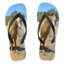 Pesquisar por vigia roupas Olhar