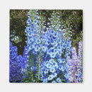 Pesquisar por botanical imas Flowers