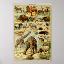 Pesquisar por dos animais selvagens pôsteres Vintage