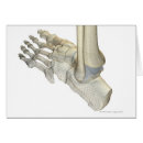 Pesquisar por pé humano cartoes postais Consultório médico