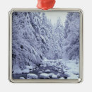 Pesquisar por mount ornamentos Riacho