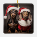 Pesquisar por santos ornamentos For pets