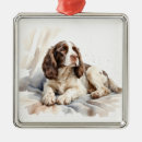 Pesquisar por espanhol ornamentos Aquarela