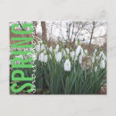 Pesquisar por lindos para cartoes postais Primavera