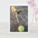 Pesquisar por bola tênis grandes de Qualquer pessoa