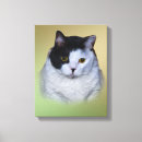 Pesquisar por gato branco impressão de canvas Gatos