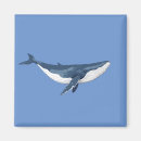 Pesquisar por baleia azul imas Natureza