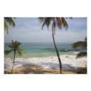 Pesquisar por dominicana pósteres pôsteres Hispaniola