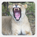 Pesquisar por panther adesivos Animal